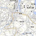 Pacific Spatial Solutions, Inc. 502904 平戸（ひらど Hirado）, 地形図 digital map