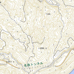 Pacific Spatial Solutions, Inc. 503201 二名津 （ふたなず Futanazu）, 地形図 digital map