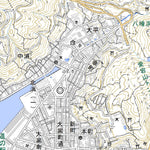 Pacific Spatial Solutions, Inc. 503213 八幡浜 （やわたはま Yawatahama）, 地形図 digital map