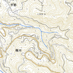 Pacific Spatial Solutions, Inc. 503214 東多田 （ひがしただ Higashitada）, 地形図 digital map