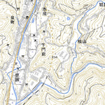 Pacific Spatial Solutions, Inc. 503235 中山 （なかやま Nakayama）, 地形図 digital map