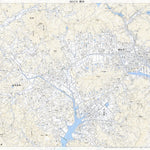 Pacific Spatial Solutions, Inc. 503270 柳井 （やない Yanai）, 地形図 digital map