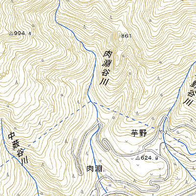 Pacific Spatial Solutions, Inc. 503363 弟地 （おとじ Otoji）, 地形図 digital map