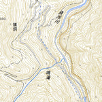 Pacific Spatial Solutions, Inc. 503470 阿波古見 （あわこみ Awakomi）, 地形図 digital map