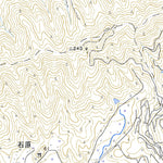 Pacific Spatial Solutions, Inc. 503474 立江 （たつえ Tatsue）, 地形図 digital map