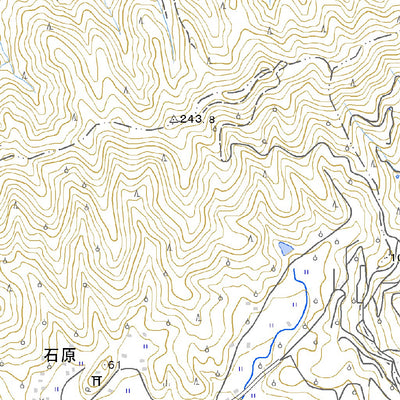 Pacific Spatial Solutions, Inc. 503474 立江 （たつえ Tatsue）, 地形図 digital map