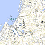 Pacific Spatial Solutions, Inc. 513217 波止浜 （はしはま Hashihama）, 地形図 digital map
