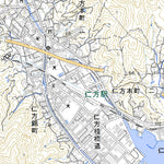 Pacific Spatial Solutions, Inc. 513225 仁方 （にがた Nigata）, 地形図 digital map