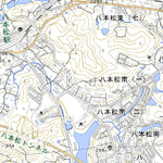 Pacific Spatial Solutions, Inc. 513255 安芸西条 （あきさいじょう Akisaijo）, 地形図 digital map