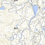 Pacific Spatial Solutions, Inc. 513327 滝宮 （たきのみや Takinomiya）, 地形図 digital map