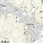 Pacific Spatial Solutions, Inc. 513357 宇野 （うの Uno）, 地形図 digital map