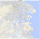 Pacific Spatial Solutions, Inc. 513404 徳島 （とくしま Tokushima）, 地形図 digital map