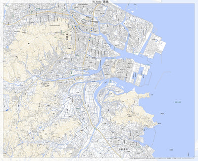 Pacific Spatial Solutions, Inc. 513404 徳島 （とくしま Tokushima）, 地形図 digital map