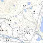 Pacific Spatial Solutions, Inc. 513460 犬島 （いぬじま Inujima）, 地形図 digital map