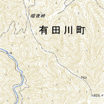 Pacific Spatial Solutions, Inc. 513503 紀伊清水（きいしみず Kiishimizu）, 地形図 digital map