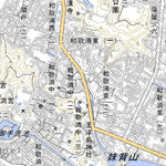 Pacific Spatial Solutions, Inc. 513521 和歌山（わかやま Wakayama）, 地形図 digital map