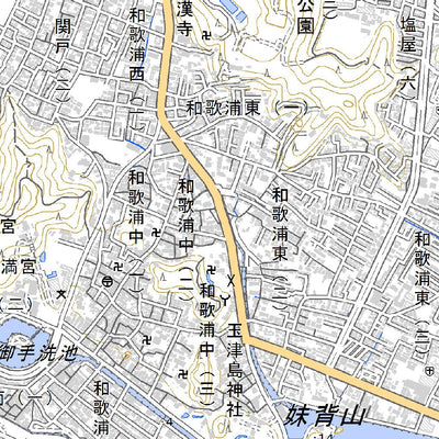 Pacific Spatial Solutions, Inc. 513521 和歌山（わかやま Wakayama）, 地形図 digital map