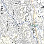 Pacific Spatial Solutions, Inc. 513556 畝傍山（うねびやま Unebiyama）, 地形図 digital map