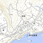Pacific Spatial Solutions, Inc. 513904 Tokyo, Miyake-mura digital map