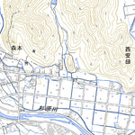 Pacific Spatial Solutions, Inc. 523447 中村町（なかむらまち Nakamuramachi）, 地形図 digital map