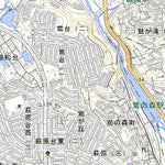 Pacific Spatial Solutions, Inc. 523523 広根（ひろね Hirone）, 地形図 digital map