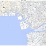 Pacific Spatial Solutions, Inc. 523712 小坂井 （こざかい Kozakai）, 地形図 digital map