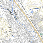 Pacific Spatial Solutions, Inc. 523722 御油 （ごゆ Goyu）, 地形図 digital map