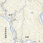 Pacific Spatial Solutions, Inc. 523773 明智 （あけち Akechi）, 地形図 digital map