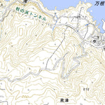 Pacific Spatial Solutions, Inc. 523913 大島北部（おおしまほくぶ Oshimahokubu）, 地形図 digital map