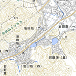Pacific Spatial Solutions, Inc. 533616 岐阜北部 （ぎふほくぶ Gifuhokubu）, 地形図 digital map