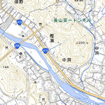 Pacific Spatial Solutions, Inc. 533626 岩佐 （いわさ Iwasa）, 地形図 digital map