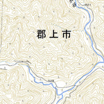 Pacific Spatial Solutions, Inc. 533750 郡上市島 （ぐじょういちしま Gujoichishima）, 地形図 digital map
