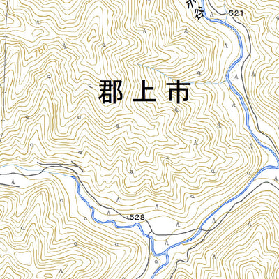 Pacific Spatial Solutions, Inc. 533750 郡上市島 （ぐじょういちしま Gujoichishima）, 地形図 digital map