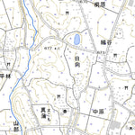 Pacific Spatial Solutions, Inc. 543832 丸子 （まるこ Maruko）, 地形図 digital map