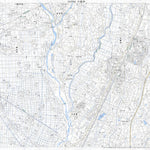 Pacific Spatial Solutions, Inc. 543946 小金井 （こがねい Koganei）, 地形図 digital map