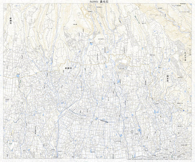 Pacific Spatial Solutions, Inc. 543951 鼻毛石 （はなげいし Hanageishi）, 地形図 digital map