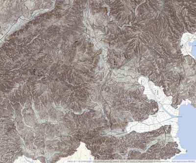 Pacific Spatial Solutions, Inc. 553656 中島 （なかじま Nakajima）, CS立体図+地形図 digital map