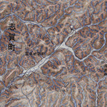 Pacific Spatial Solutions, Inc. 553656 中島 （なかじま Nakajima）, CS立体図+地形図 digital map