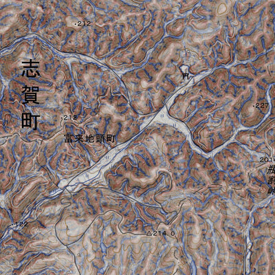 Pacific Spatial Solutions, Inc. 553656 中島 （なかじま Nakajima）, CS立体図+地形図 digital map