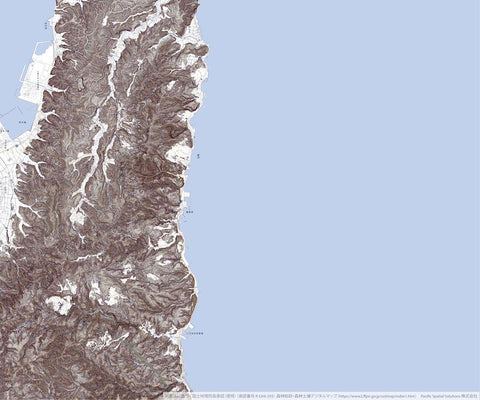 Pacific Spatial Solutions, Inc. 553740 庵 （いおり Iori）, CS立体図+地形図 digital map