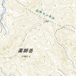 Pacific Spatial Solutions, Inc. 553865 岡野町 （おかのまち Okanomachi）, 地形図 digital map