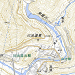 Pacific Spatial Solutions, Inc. 553925 川治 （かわじ Kawaji）, 地形図 digital map