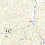 Pacific Spatial Solutions, Inc. 553941 平ヶ岳 （ひらがたけ Hiragatake）, 地形図 digital map