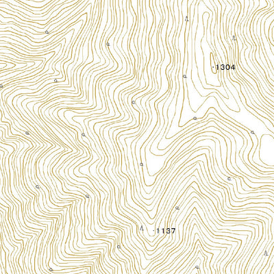 Pacific Spatial Solutions, Inc. 553976 林中 （はやしなか Hayashinaka）, 地形図 digital map