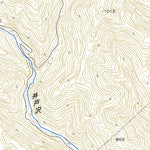 Pacific Spatial Solutions, Inc. 553976 林中 （はやしなか Hayashinaka）, 地形図 digital map