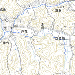 Pacific Spatial Solutions, Inc. 554064 上蓬田 （かみよもぎだ Kamiyomogida）, 地形図 digital map