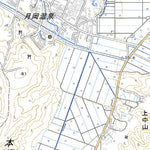 Pacific Spatial Solutions, Inc. 563962 天王 （てんのう Tenno）, 地形図 digital map