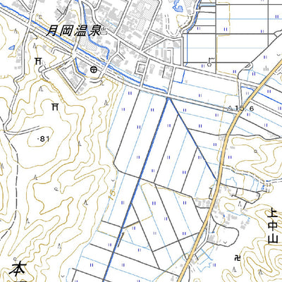 Pacific Spatial Solutions, Inc. 563962 天王 （てんのう Tenno）, 地形図 digital map