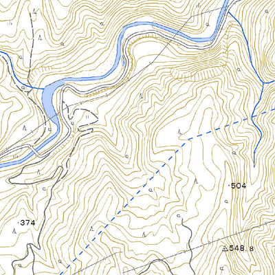 Pacific Spatial Solutions, Inc. 574030 太郎 （たろう Taro）, 地形図 digital map