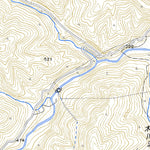 Pacific Spatial Solutions, Inc. 574030 太郎 （たろう Taro）, 地形図 digital map